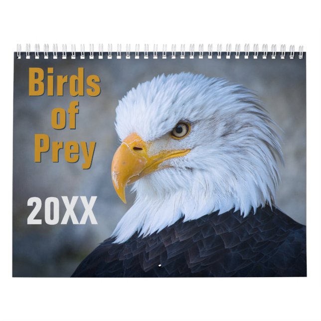 Birds of Prey Calendar Kalender (Omslag)