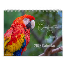 Birds of the Seasons 12 Month Nature Calendar