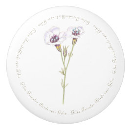 Birds Öga Gilia-vattenfärg Knopp