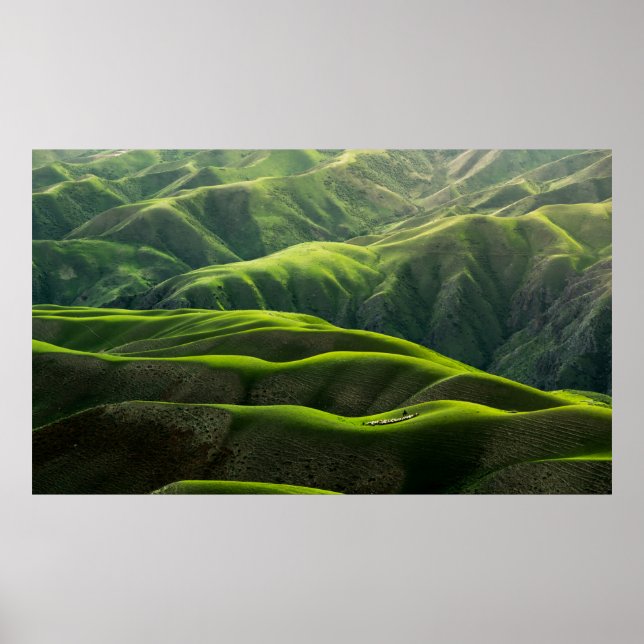 BIRD'S ÖGA VIEW FOTOGRAPH OF GRÖNT MOUNTAINS POSTER (Framsidan)