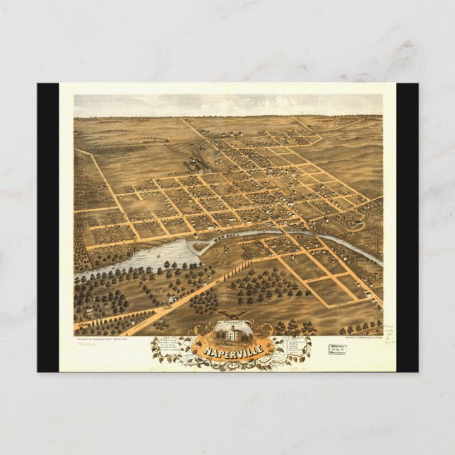 Birds Öga View of Naperville Illinois (1869) Vykort (Framsida)