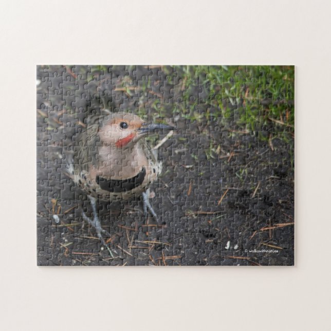Birds Öga View of Northern Flicker Woodpecker Pussel (Horisontell)
