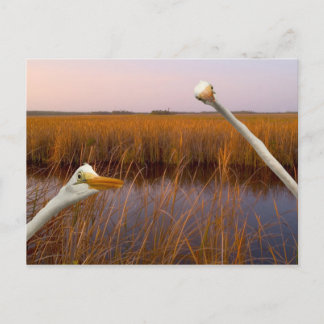 "Birds Öga View" - vykort