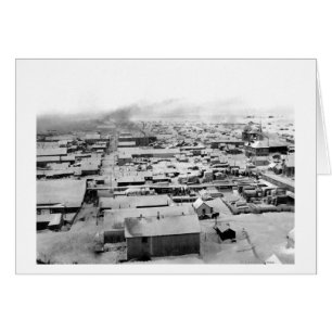 Birds syn på Nome, Alaska med Snö Hälsningskort