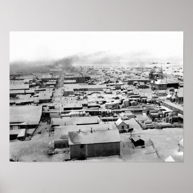 Birds syn på Nome, Alaska med Snö Poster (Framsidan)