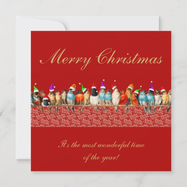 Birds Wearing Santa Hats jul Hälsning Kort (Framsida)