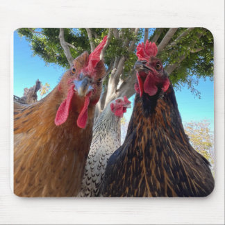 Birds with Attitude Mouse Pad Musmatta