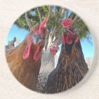 Birds with Attitude Sandstone Coaster Underlägg