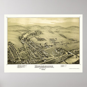 Birdsboro panorama- karta för PA - 1890 Poster