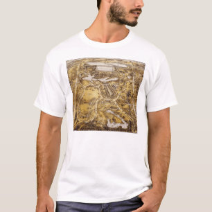 Birdseye beskådar av Central Park - John Bachman T-shirt