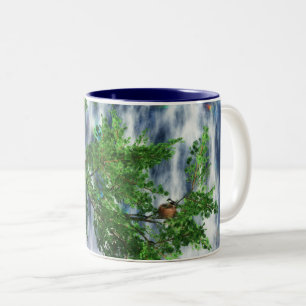 Birdsnest Falls Mugg