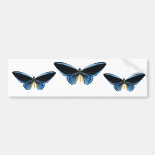Birdwing fjäril bildekal