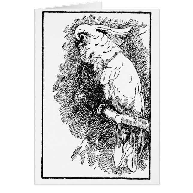 Birdy Hälsningskort (Framsidan)