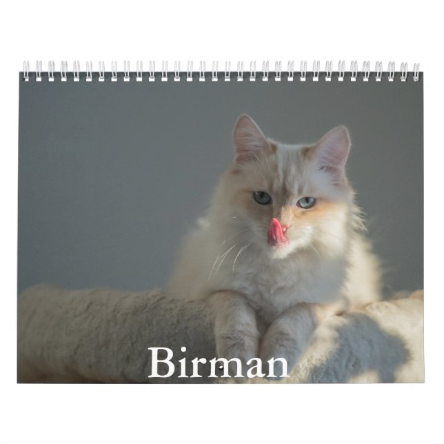 Birman Calendar Kalender (Omslag)