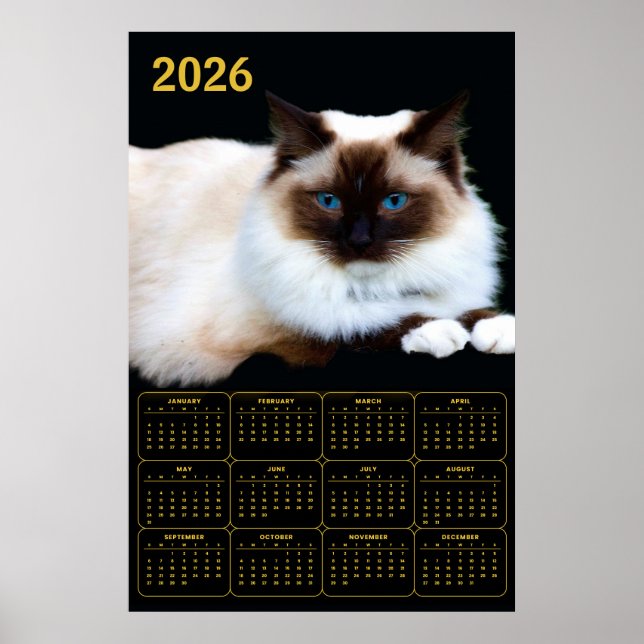 Birman Cat 2026 Calendar  Poster (Framsidan)