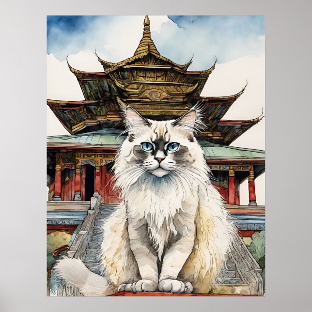 Birman Cat - Cat Art Print Poster (Framsidan)