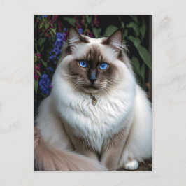 Birman Cat i Garden Postcard Vykort