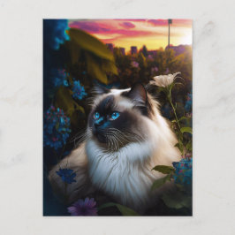 Birman Cat in City Garden vid Sundown Postcard Vykort