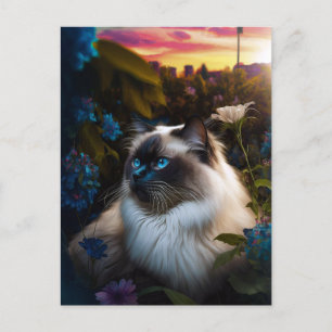 Birman Cat in City Garden vid Sundown Postcard Vykort