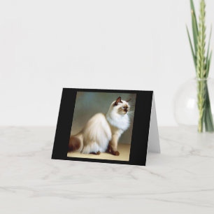 Birman Cat Kort