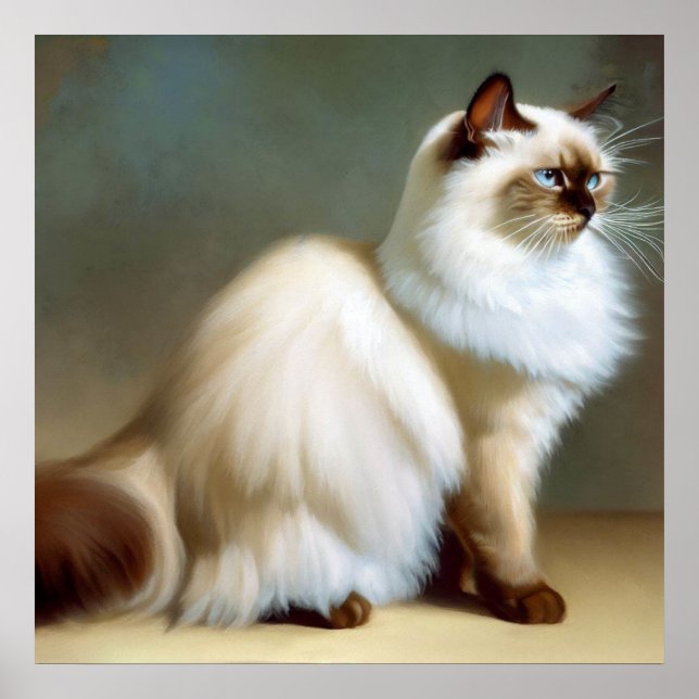 Birman Cat Poster (Framsidan)