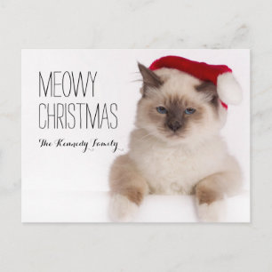 Birman Cat Santa Helg Vykort