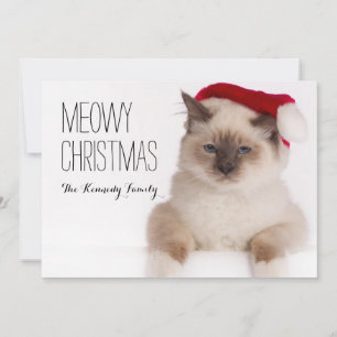 Birman Cat Santa Julkort