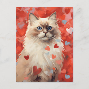 Birman cat Valentines dag Vykort