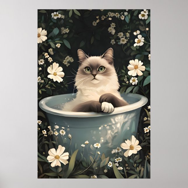 Birman i badkar Affisch, Rolig katt Affisch, Birma Poster (Framsidan)
