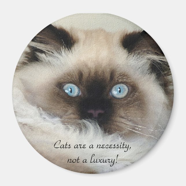 Birman - Ragdoll Cat Lover Magnet (Framsidan)
