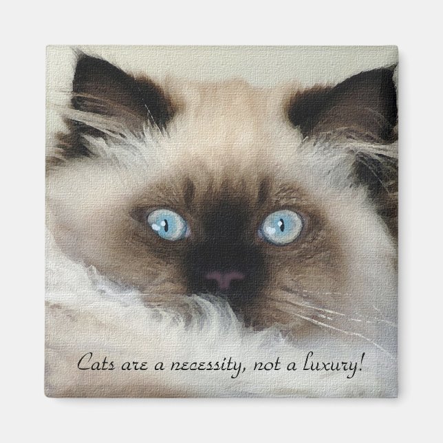 Birman - Ragdoll Cat Lover Magnet (Framsidan)