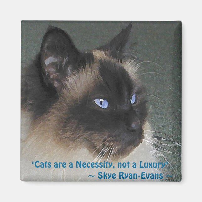 BIRMAN RAGDOLL CAT Magnet Series (Framsidan)