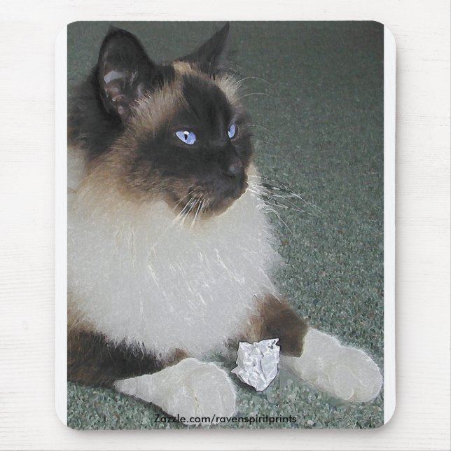 BIRMAN - RAGDOLL CAT Mousepad Musmatta (Framsidan)