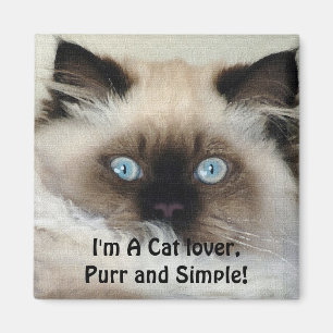 Birman - Ragdoll Cat Pet-Älskare Magnet