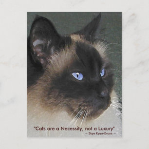 BIRMAN RAGDOLL CAT-samling Vykort