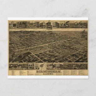 Birmingham Alabama Late 1800's Birds Öga View Vykort