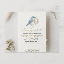 Birth Announcement Postcard Meddelande Vykort