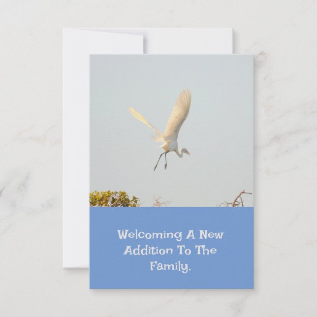 Birth Announcement With Flying Stork. OSA Kort (Framsida)