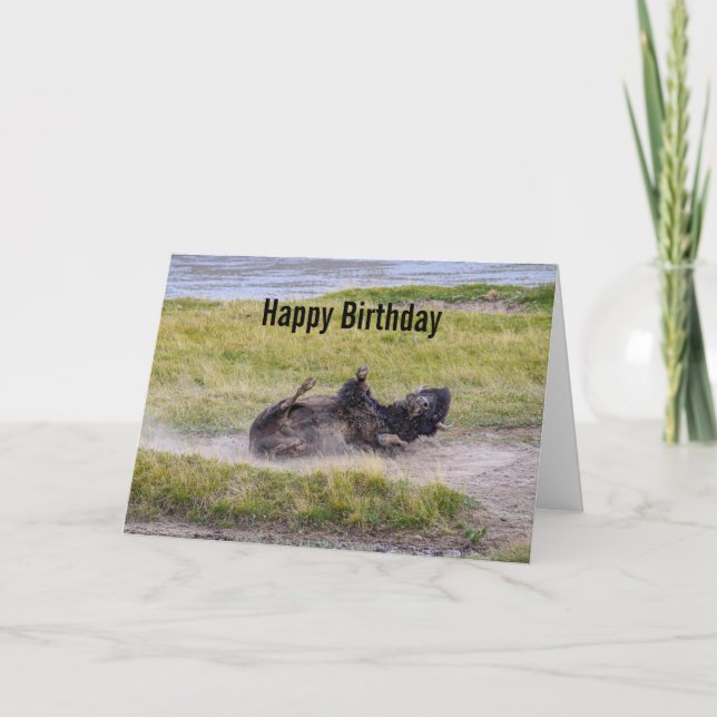 Birthday Bison Wallowing Yellowstone National Park Kort (Framsida)