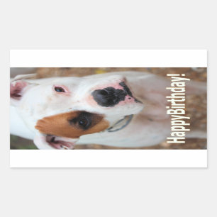 Birthday Boop Rektangulärt Klistermärke