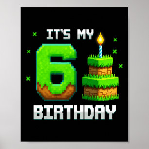 Birthday Boy Shirt Det är min 6e-fåglarlek Poster