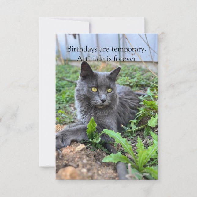 birthday card (Framsida)