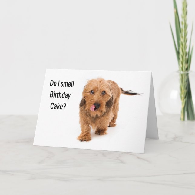 birthday card Dachshund dog smelling birthday cake Kort (Framsida)