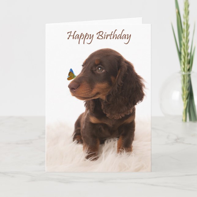 Birthday card dog with butterfly on nose kort (Framsida)