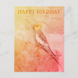 Birthday Card for Bird Lovers Vykort