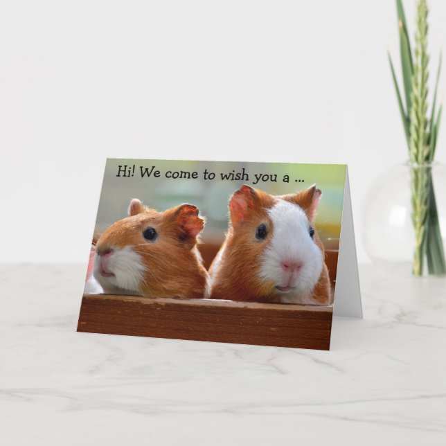 Birthday Card: Two Guinea Pigs Kort (Framsida)