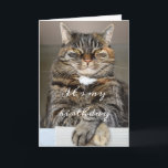 Birthday Cat Funny Tabby Grumpy Grönt Öga Squint Kort<br><div class="desc">Det här märkliga födelsekortet har en stor, grumlig tabby på framsidan med skuret grönt öga. Hans namn är Biggie. Vi varför han är så galen. Inuti Biggie's bild står ord "Det är min födelsedag". "När jag säger det är det min födelsedag." Under detta kan du anpassa en anteckning och namnteckning....</div>
