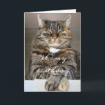 Birthday Cat Funny Tabby Grumpy Grönt Öga Squint Kort<br><div class="desc">Det här märkliga födelsekortet har en stor, grumlig tabby på framsidan med skuret grönt öga. Hans namn är Biggie. Vi varför han är så galen. Inuti Biggie's bild står ord "Det är min födelsedag". "När jag säger det är det min födelsedag." Under detta kan du anpassa en anteckning och namnteckning....</div>