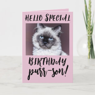 BIRTHDAY CAT SIAMESE PERSIAN GREETARD KORT