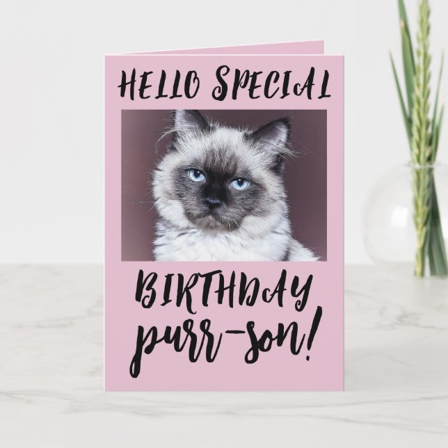 BIRTHDAY CAT SIAMESE PERSIAN GREETARD KORT (Framsida)